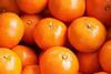 Peru: Anstieg der Citrus-Exporte um 10 %