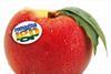 Italian PGI stonefruit