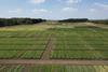 PGRO Pulse Open Day