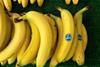 Chiquita chiefs buy up shares in business