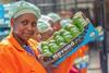 NE Eosta Living Wage Kenyan avocados