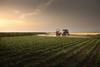 Tractor spraying vegetable field Adobe Stock