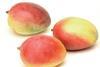 Generic mangoes