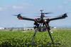 Ein paar viele Nummern kleiner sollen Drohnen zukünftig in Gewächshäusern auf Insektenjagd gehen. Foto: rustneversleeps/fotolia
