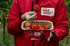 Good Natured Berries ASF relaunch