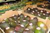 Hass_Avocados_Chile__1__01.JPG