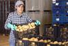 Generic potato sorting warehouse
