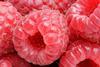raspberries generic Wikipedia Commons