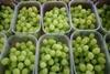 'Extreme concern' at downturn in fruit and vegetable consumption