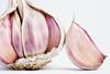 Knoblauch