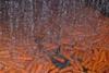 Cleaning up their act: UK carrot growers are studying non-chemical crop-protection methods