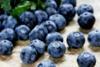 Frosty temperatures hold back Chilean blueberries
