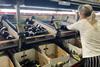 BE Stannuco aubergine packing