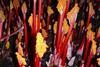 Rhubarb