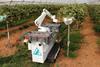 Robotic strawberry harvester