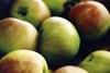 NZ top fruit shows early promise