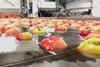 Apples in water