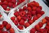 The padless punnets reduce pack weight by 17 per cent