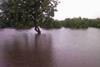 The Oliphants bursts its banks