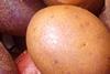 potatoes generic wikipedia commons