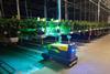 VLAM UV-C robot in the greenhouse