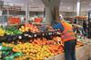 Albert Heijn supermarket citrus display restock