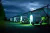 Thorvalds about to do UV-C treatment at Seaton, Scotland Fotocredit_ Kristoffer Skarsgaard