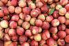 Organic nectarines Adobe Stock