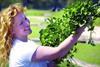 Charlie Dimmock admires new-season watercress