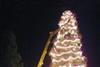 Employees hope extra cash is waiting under the tree