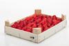 FEFPEB strawberries wooden crate