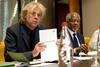 Bob Geldof caption Africa Progress Panel