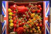 British tomatoes in box