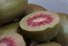 Origine HFR18 red kiwifruit