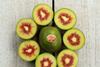 FR Primland Oscar Red kiwifruit