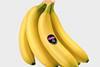 SCB Supreme Compagnie Fruitiere
