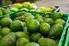 Green avocados Spain farmers market Adobe