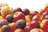 Stonefruit sector strives for growth