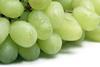 GEN grapes