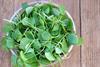 Watercress has many health benefits