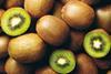 GEN kiwifruit