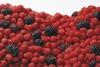 Men get increased benefit from eating berries