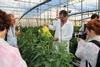ECPA press trip Almeria_Oct 15, 2015_Experimental Station Las Palmerillas_Juan JosÃ‡ Magâ€ n (Las Palmerillas) explains