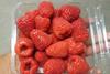 Southern Specialties Adelita raspberries