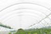 Victory for polytunnels
