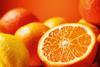 generic citrus