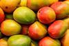 GEN mangoes AdobeStock_196999091.jpeg.crdownload