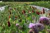 Sessions will be delivered by advisors from farming charity the Soil Association
