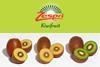Zespri new varieties