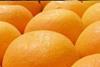 generic citrus